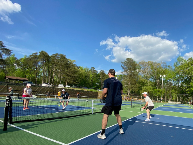 Master the Art of the Dink Shot: Uncover the Secret Pickleball Techniques for Court Domination!